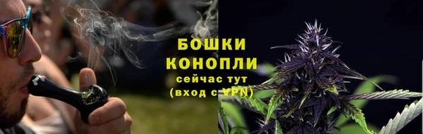 дживик Струнино