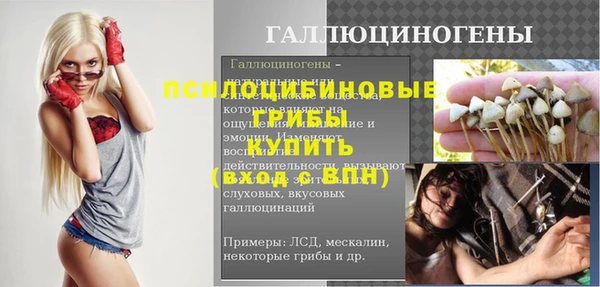 ECSTASY Строитель