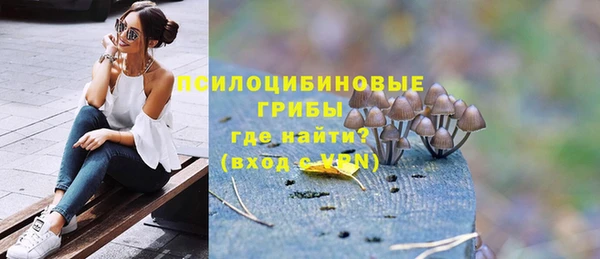 ECSTASY Строитель