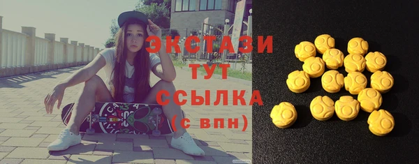 ECSTASY Строитель