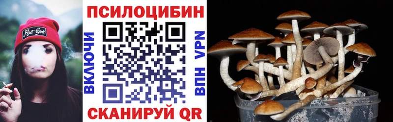 Купить  Богучар  Псилоцибиновые грибы прущие грибы 